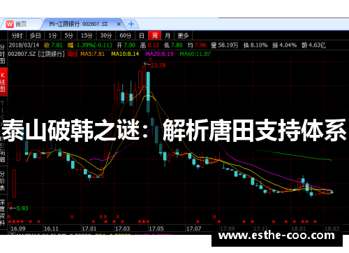 泰山破韩之谜：解析唐田支持体系